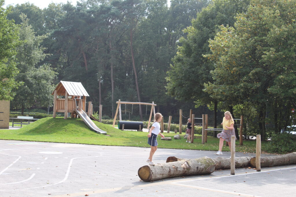 Overzicht schoolplein (9)