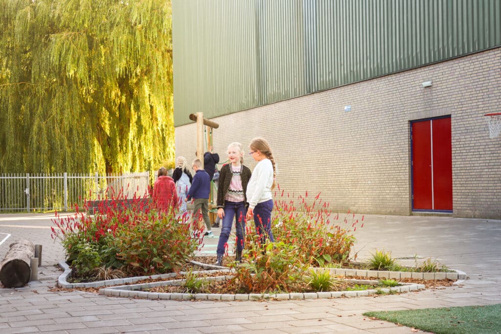 schoolpleinproject groen op het schoolplein