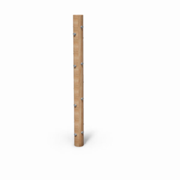 Klimtoestel Klimpaal met Handvaten